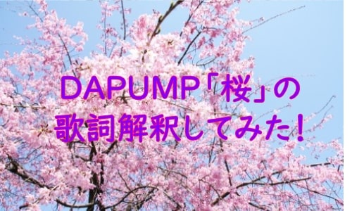 Dapump 桜 歌詞の意味を解釈してみた くまごろうのこれが気になる