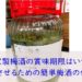 梅酒　賞味期限　自家製